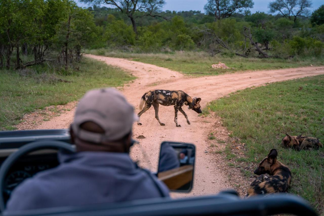 Thornybush Game Lodge Thornybush Game Reserve Zewnętrze zdjęcie