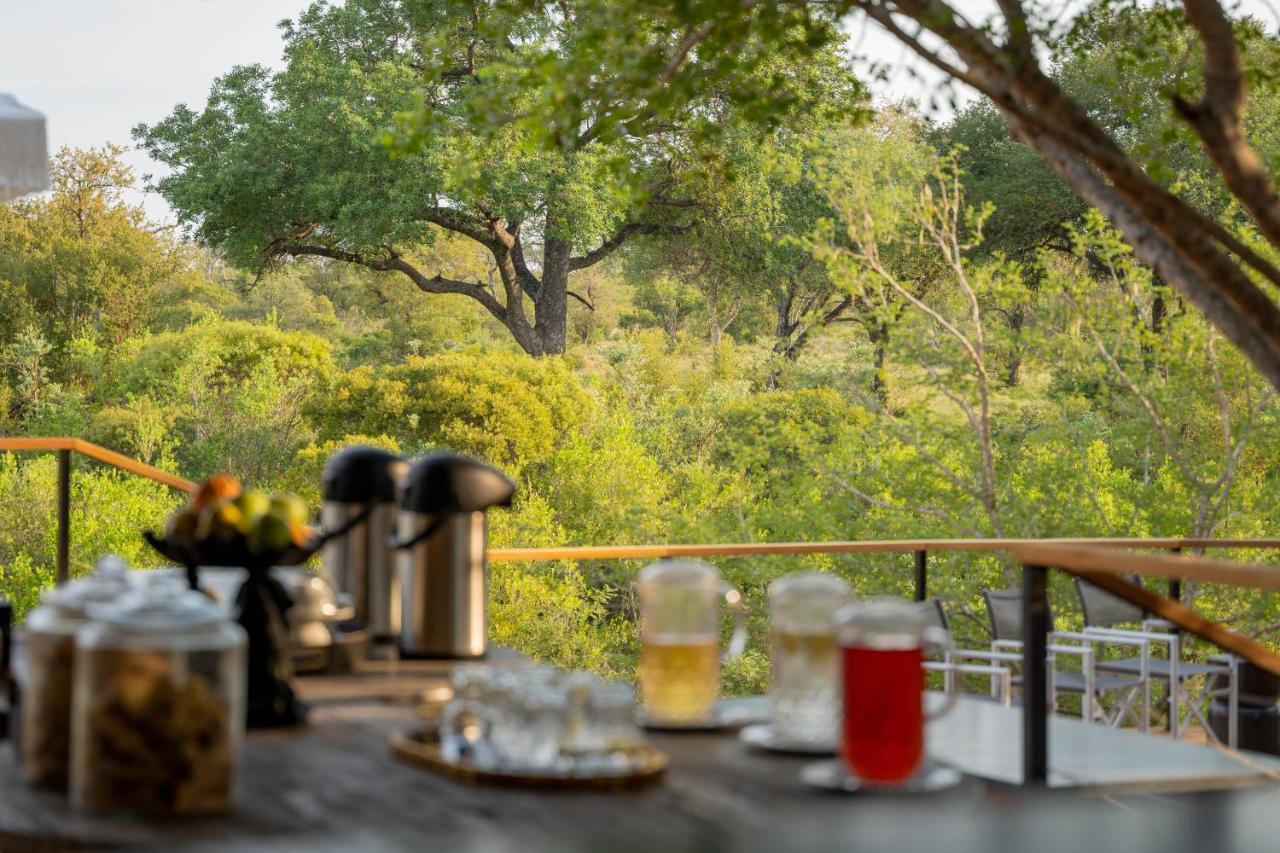 Thornybush Game Lodge Thornybush Game Reserve Zewnętrze zdjęcie