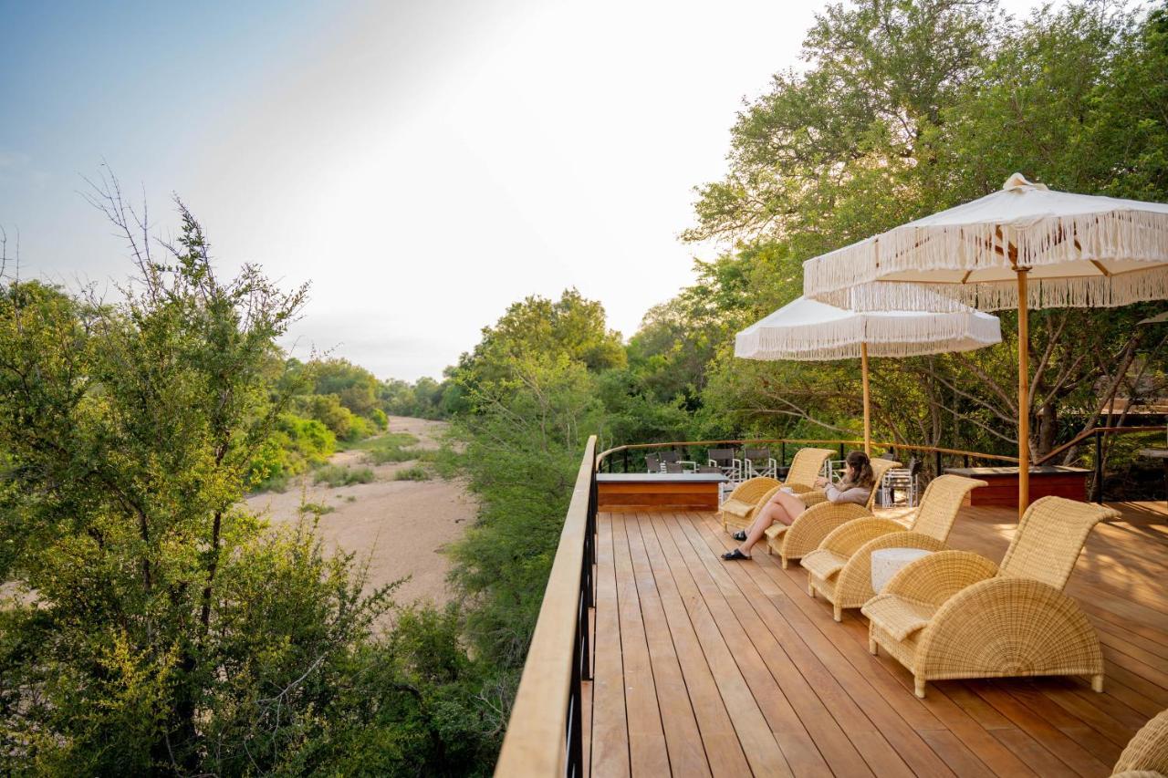 Thornybush Game Lodge Thornybush Game Reserve Zewnętrze zdjęcie