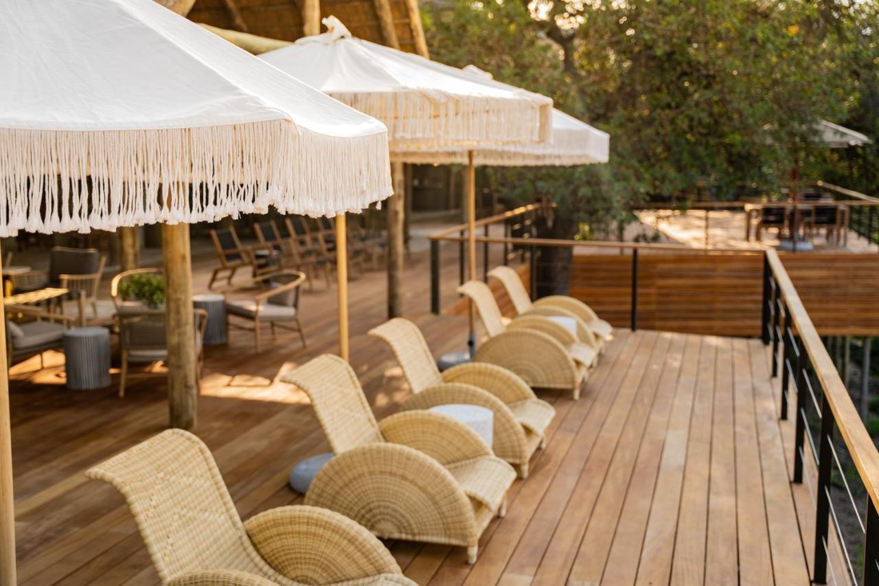 Thornybush Game Lodge Thornybush Game Reserve Zewnętrze zdjęcie